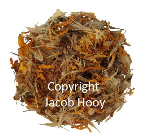 Valkruidbloesem Heel van Jacob Hooy