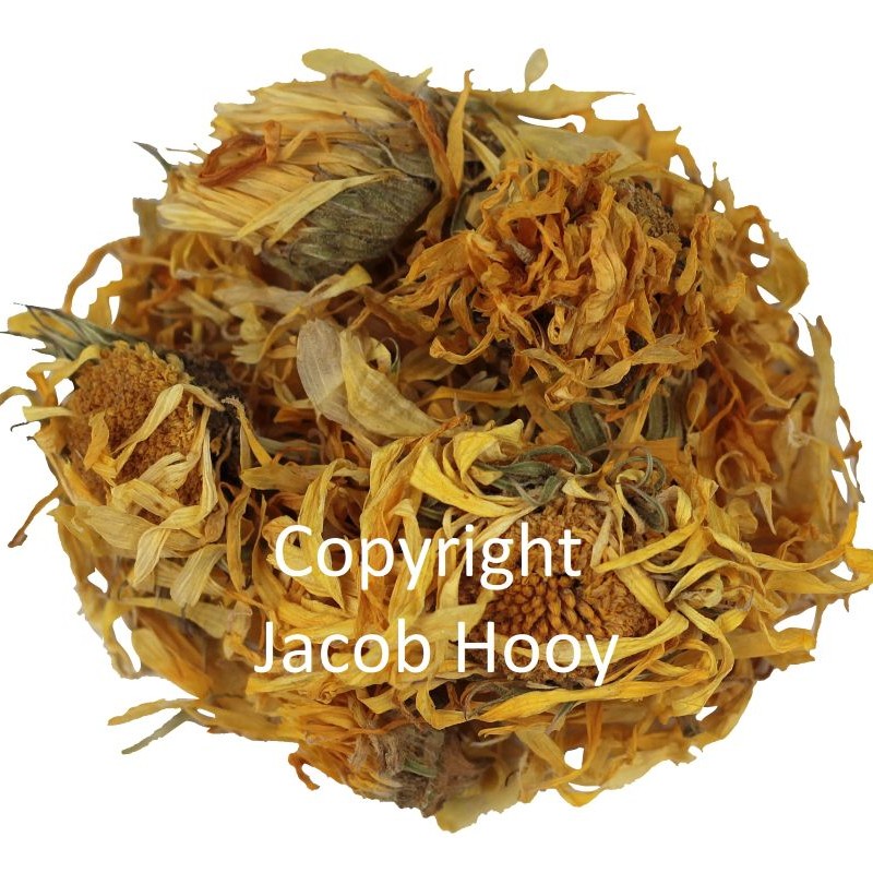 Goudsbloem met knoppen