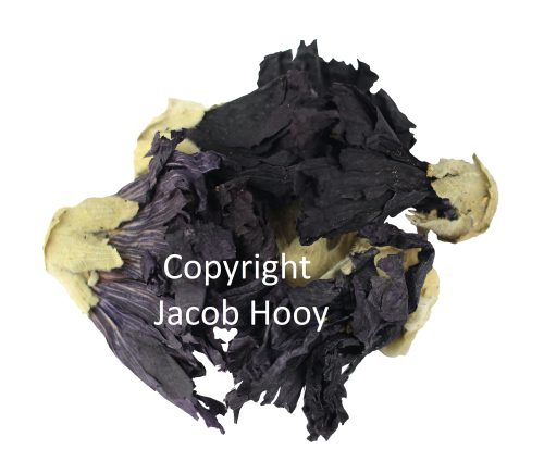 Jacob Hooy - kruiden en specerijen - Malvabloemen