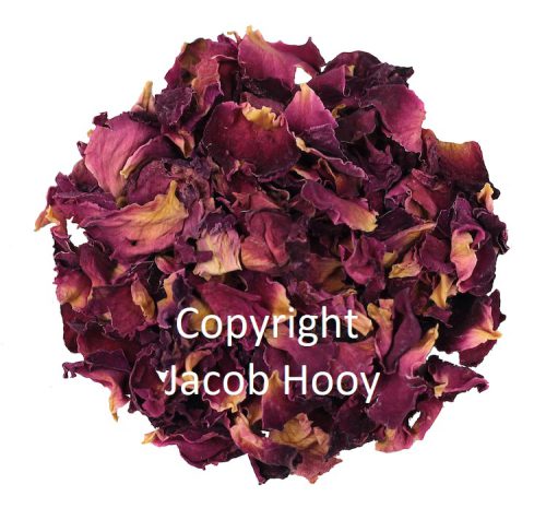 Rozenblaadjes paars van Jacob Hooy.