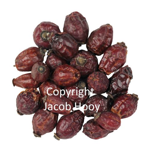 Jacob Hooy Rozenbottels Heel – gedroogde rozenbottels