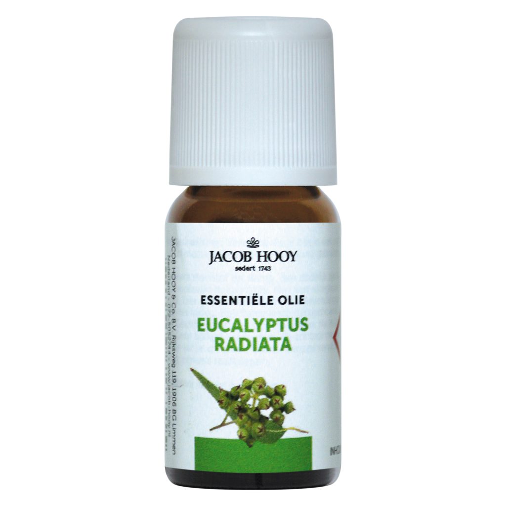 Essentiële olie Eucalyptus Radiata 10 ml