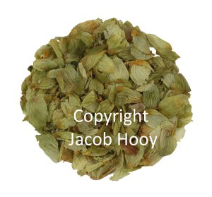 Hopbel gesneden hopbellen kruidenthee