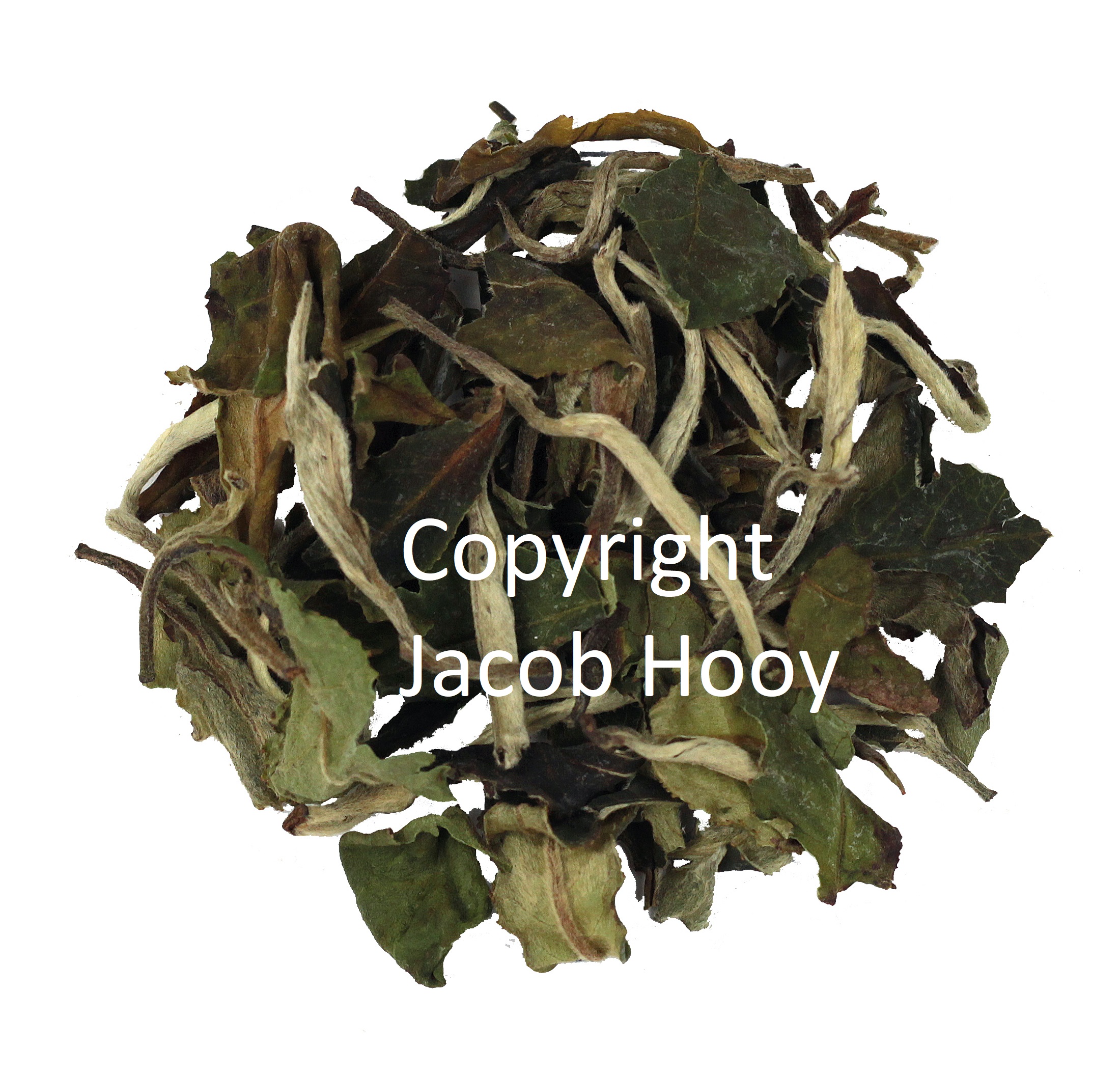 Witte thee, Pai Mu Tan