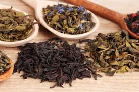 Groene sencha thee