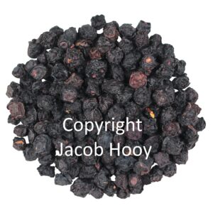 Bosbessen blauw heel