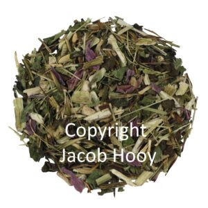 Echinacea purpuraea herba gesneden