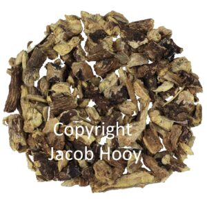 Echinacea purpurea wortel gesneden