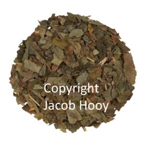 Ginkgo biloba gesneden