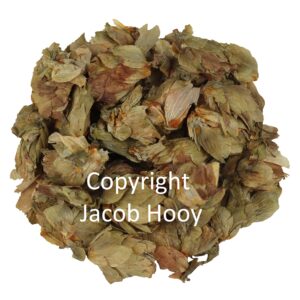 Hopbel heel
