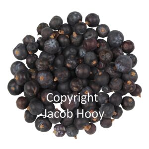 Jeneverbessen heel