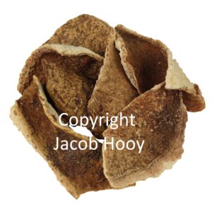 Oranjeschillen bitter heel