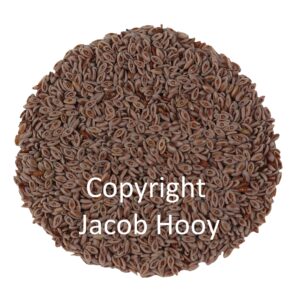 Vlozaad heel