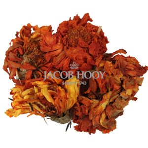 Afrikaantjes heel – gedroogde hele bloemen – Jacob Hooy