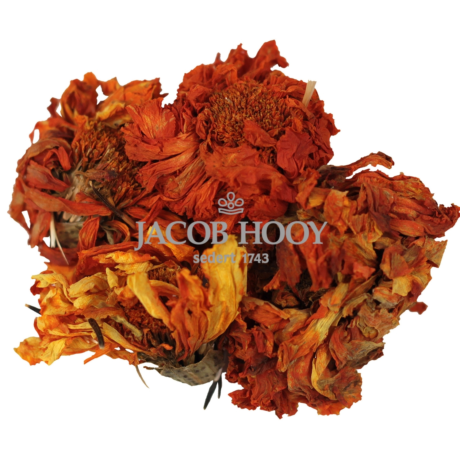 Afrikaantjes heel – gedroogde hele bloemen – Jacob Hooy
